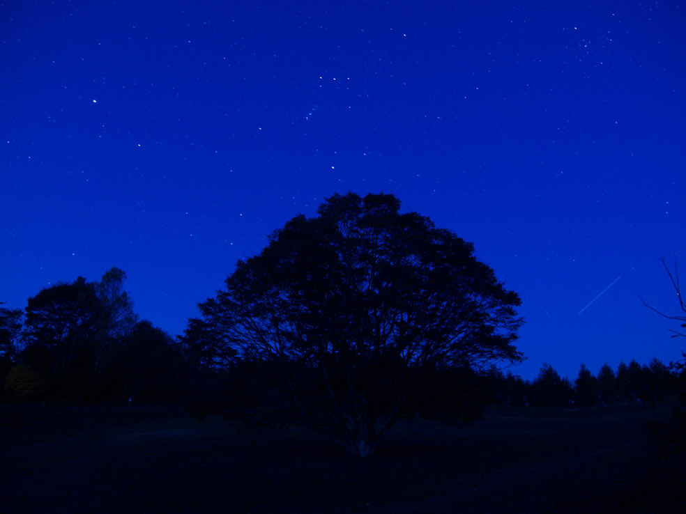 20011信州紅葉②大峰高原_d0020300_2385096.jpg