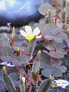 e0015100_2293548.jpg