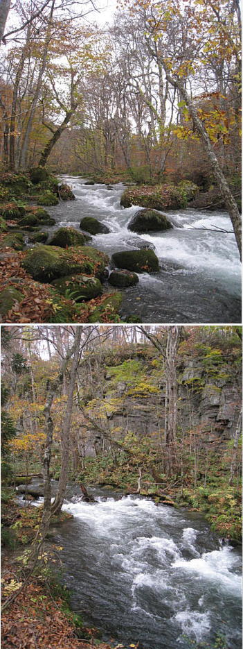 d0046702_735998.jpg
