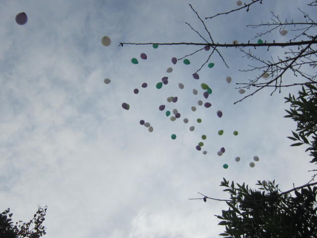 f0197703_1793828.jpg