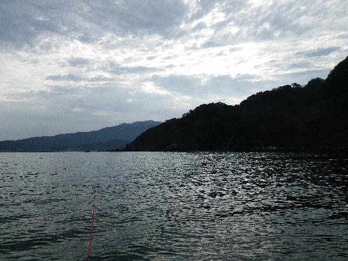 b0137704_8125111.jpg