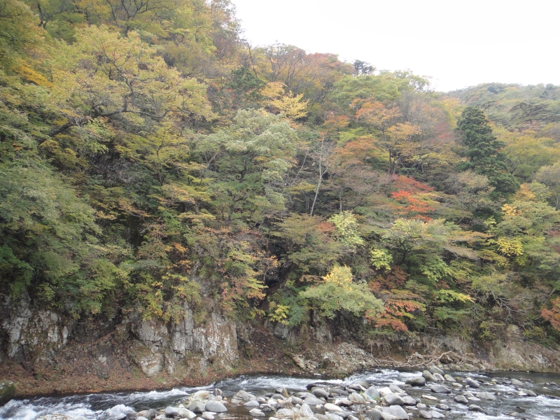 b0172805_1734167.jpg