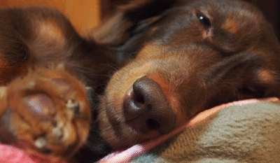 c0222805_23362053.gif