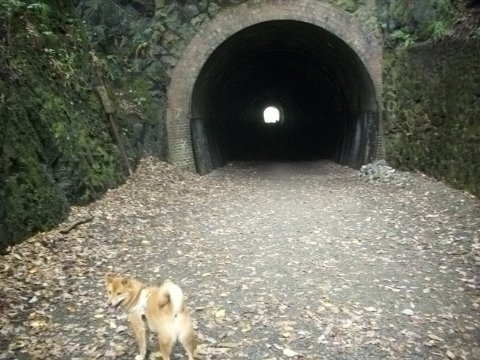 山のぼりしてきました。（武庫川渓谷の大峰山）_e0232505_21132023.jpg