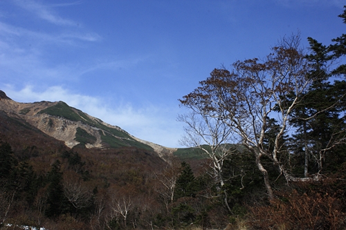 秋景色_f0007106_22243344.jpg
