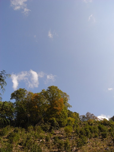 e0032609_16194672.jpg