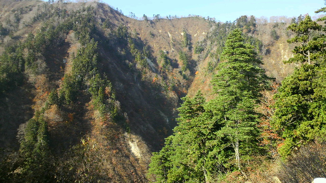 世界遺産・白神山地♪～_b0035611_20413786.jpg