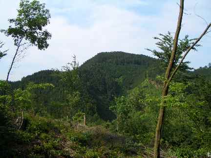 c0051112_2028945.jpg