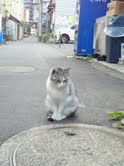 本日は六本木のIZUMIです。_f0178313_14195891.jpg