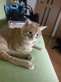本日は六本木のIZUMIです。_f0178313_14203742.jpg