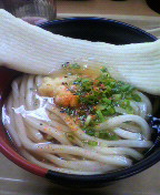 今日のうどん_b0005814_18285550.jpg