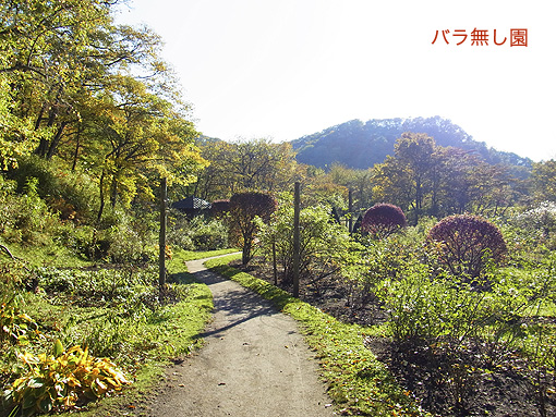 軽井沢旅行三日目_a0039916_20184687.jpg