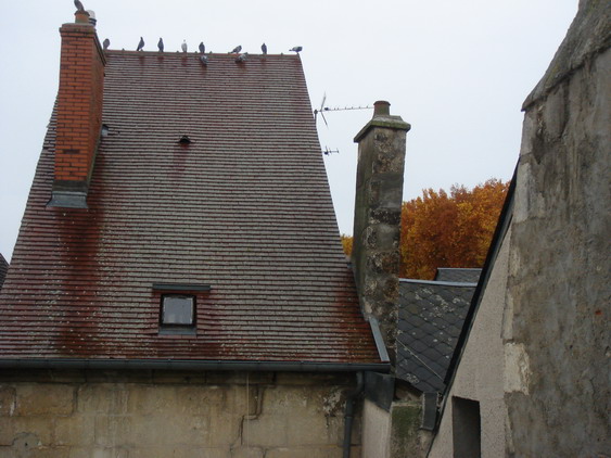 c0124619_4561297.jpg