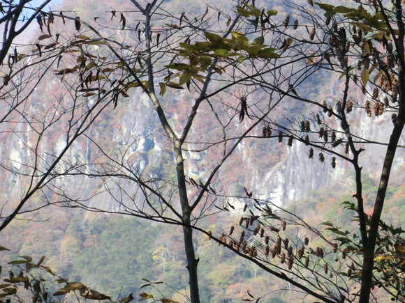 d0221319_859638.jpg