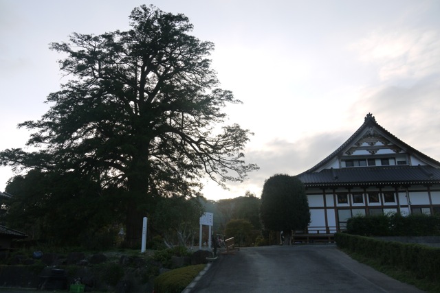 f0143119_23343890.jpg