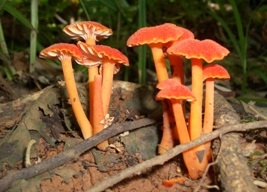 a0043520_2333427.jpg