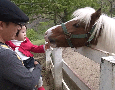 c0181921_1622553.gif