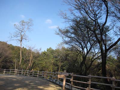 e0244621_23304841.jpg
