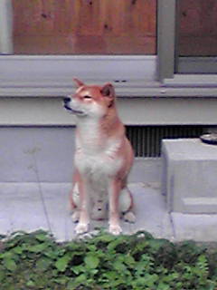 c0227522_91744.jpg