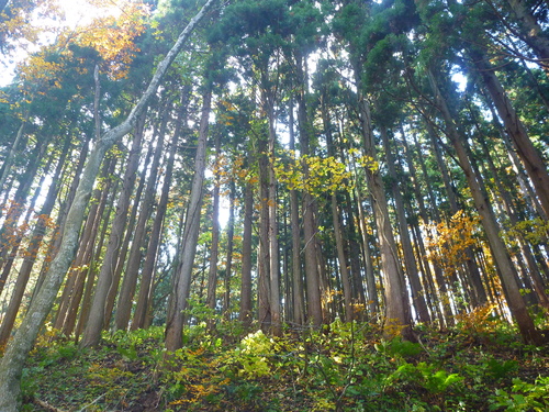f0028123_22442227.jpg