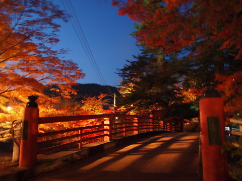 中野もみじ山20111104*紅葉ライトアップ（黒石市）_b0147224_21411936.jpg