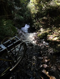 c0189724_175444100.jpg