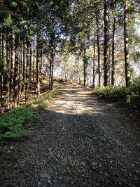 c0189724_17553749.jpg