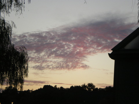 e0128024_2343595.jpg