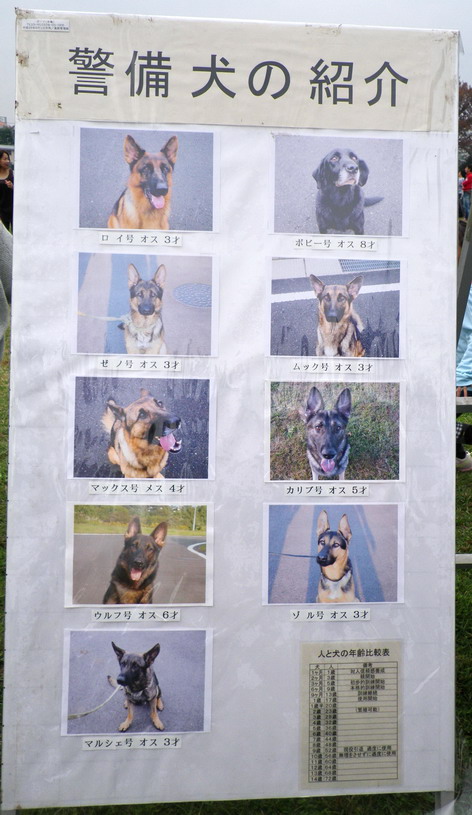 航空祭めぐり11 In 入間基地 午後 警備犬 ェ 編 目指せるのかスローライフな生活