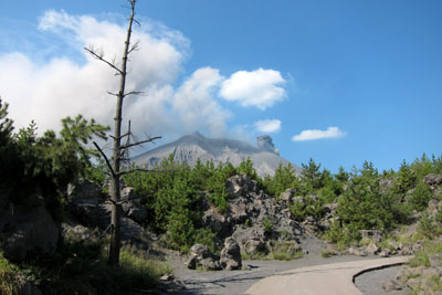 e0133025_21154252.jpg