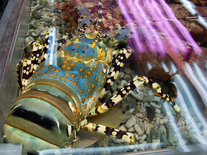 b0085526_8262567.jpg