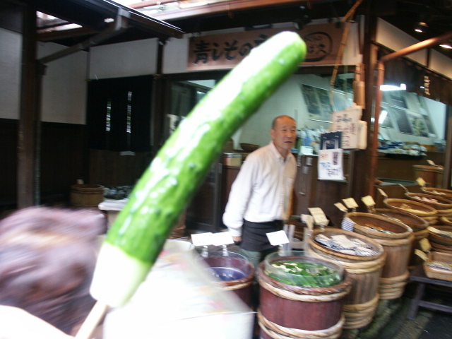 京都 嵐山/大原_b0054727_216145.jpg