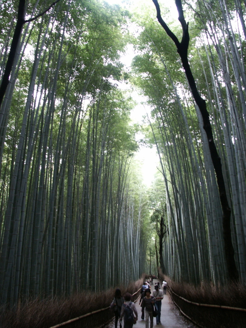 京都 嵐山/大原_b0054727_281115.jpg