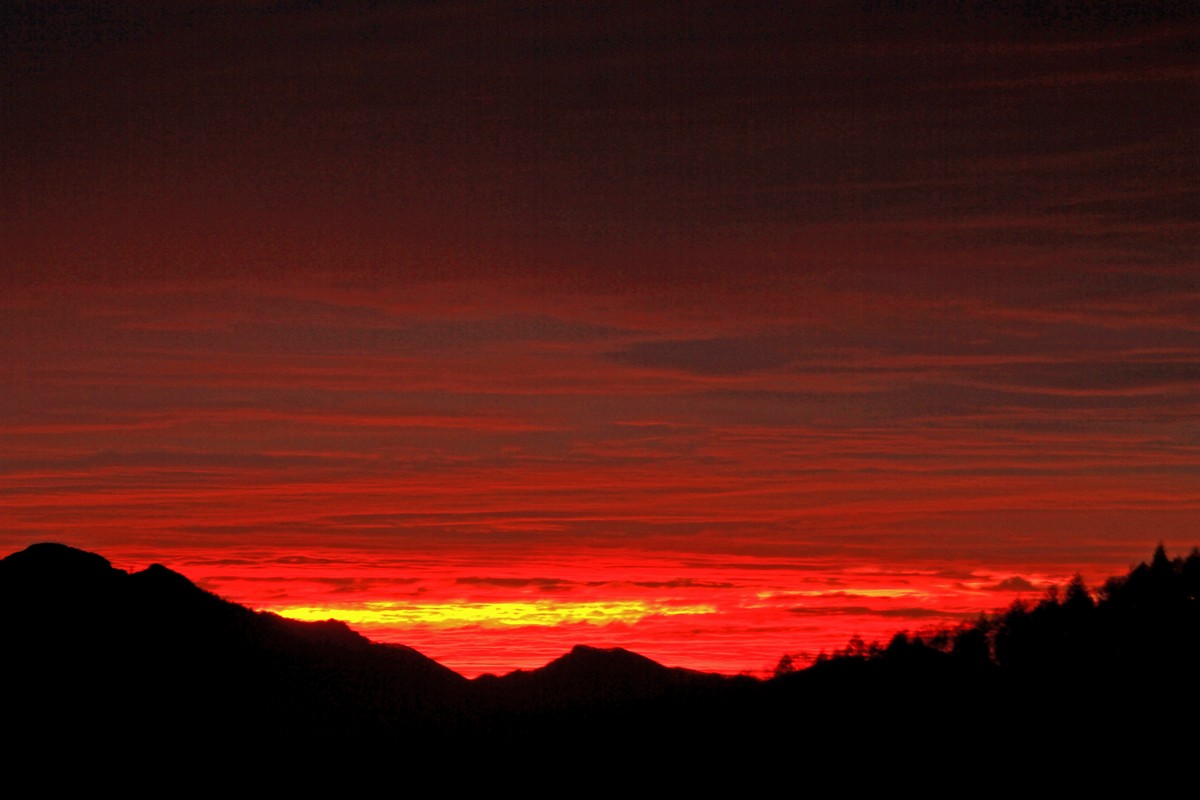 c0104227_917287.jpg