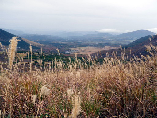 f0000330_2020278.jpg
