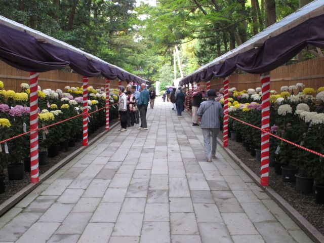 c0019131_19152241.jpg