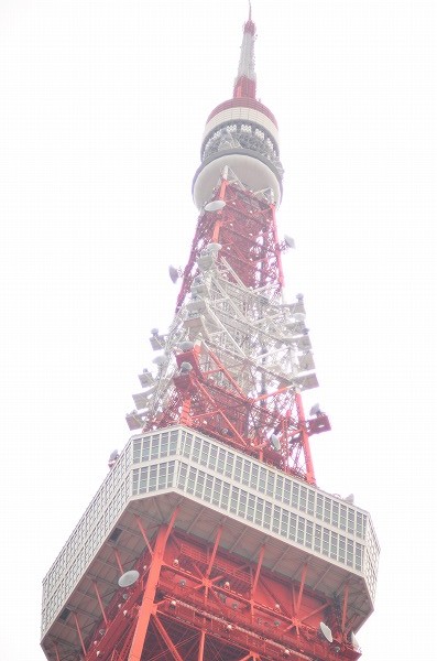 e0146031_312447.jpg