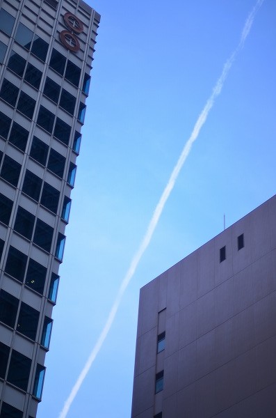 e0146031_320335.jpg
