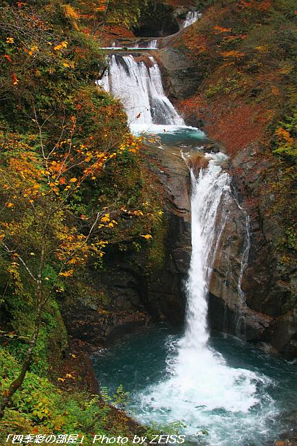 a0195032_20323.jpg