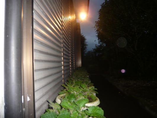 a0206332_8699.jpg