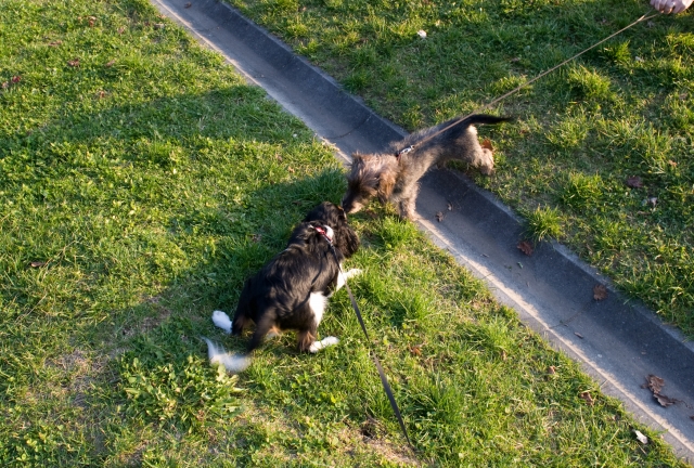 またまたまた、ぬまた公園。_c0051132_1936186.jpg