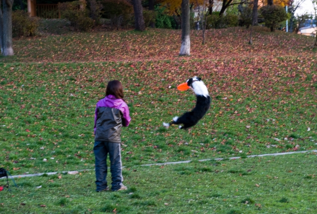 またまたまた、ぬまた公園。_c0051132_20541695.jpg