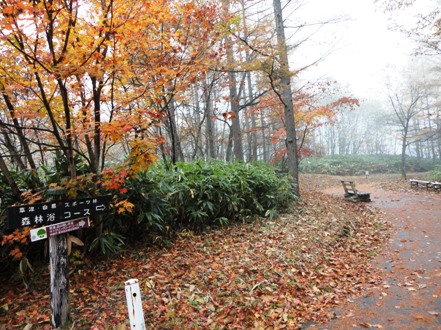 b0130637_0375115.jpg