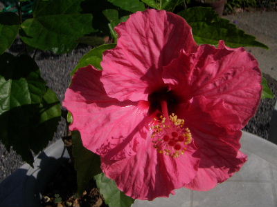 a0054240_2027677.jpg