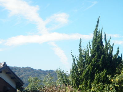 a0054240_20444712.jpg