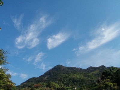 a0054240_20452615.jpg