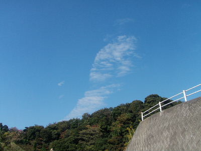 a0054240_20453437.jpg