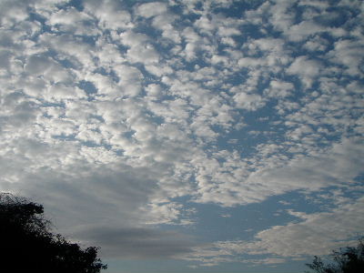 a0054240_20454963.jpg
