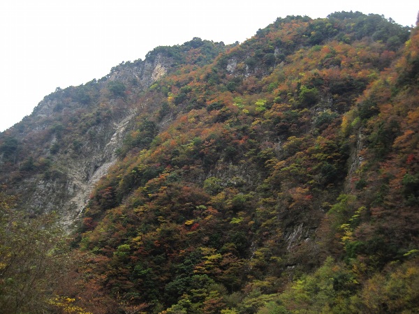 b0149340_101006.jpg