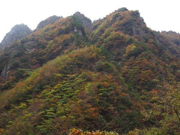 b0149340_10141871.jpg